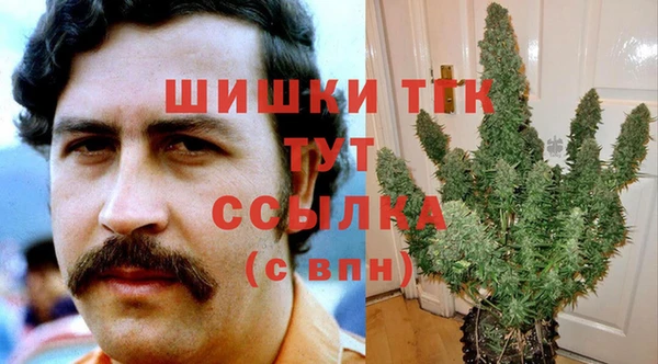 круглые Вяземский