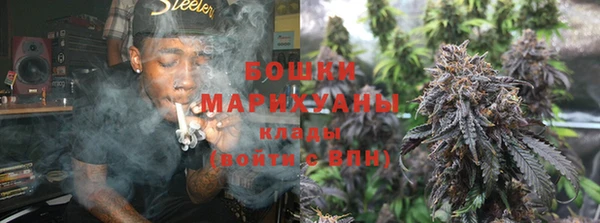 амф Верея