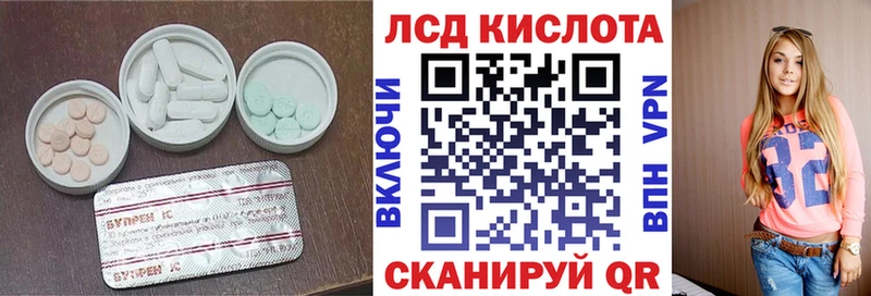 где купить наркоту  Заволжье  Лсд 25 экстази ecstasy 